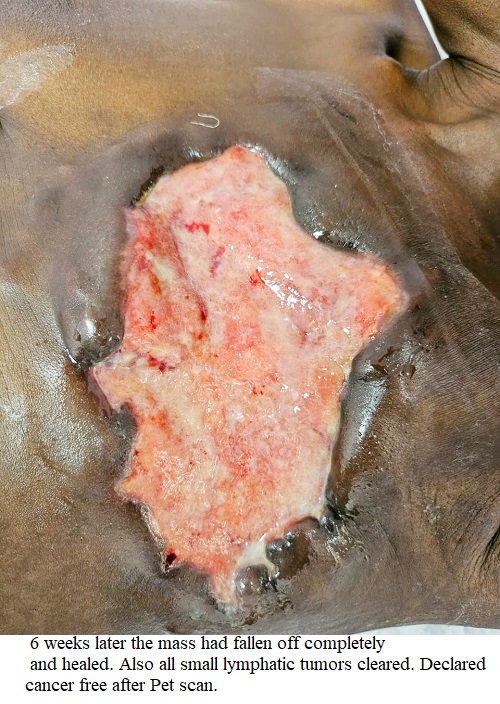 mass-of-the-breast-cancerous